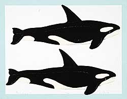 #320 ~ Thauberger - Whale Print  #40/150