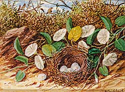 #423 ~ Cruikshank - Bird's Nest [with White Eggs] and Flowers