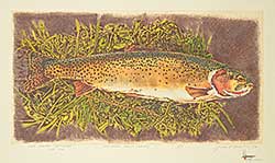 #23 ~ Cowin - High Coutry Cutthroat - [Wester Trout Series]  #A.P.
