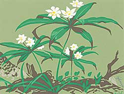 #1041 ~ Casson - Untitled - White Flowers
