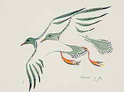#4 ~ Cobiness - Black Tern