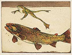 #423 ~ Cowin - Madison Meadows [Western Trout Series]  #59/75