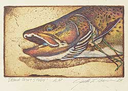 #422 ~ Cowin - Brown Trout Study  #A.P.
