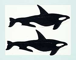 #528 ~ Thauberger - Whale Print  #56/150