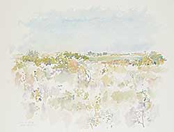 #640 ~ Cowley - Images of the Prairie