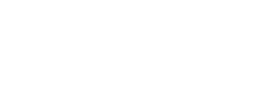Levis Auctions