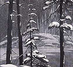 #205 ~ Bergman - Fir Trees in Snow