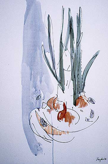 #311 ~ Snyder - Untitled - Still Life with Onion