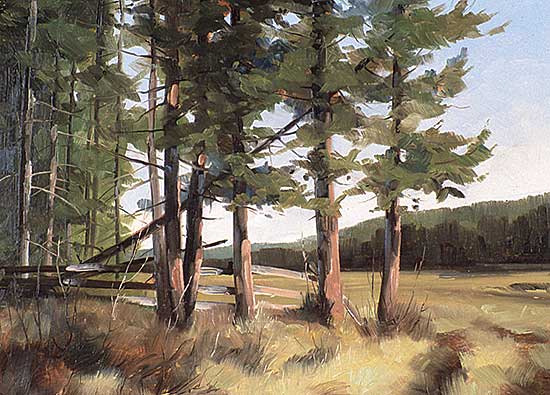 #437 ~ Wood - Sandy Meadow, Quesnel, B.C.