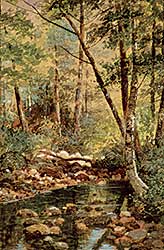 #9 ~ Bell-Smith - In the Woods of North Conway, N.H. from Nature, 1883