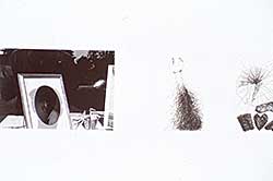 #57 ~ Dine - Untitled-from Lee Friedlander Jim Dine 'Photographs & Etchings' portfolio #10/75