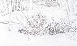 #58 ~ Drohan - Untitled - Winter Woods