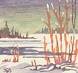 #58 ~ Fanshaw - Canadian Winter