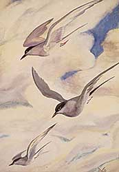 #116 ~ Kerr - Untitled - Terns