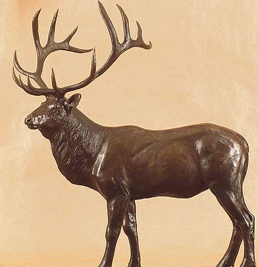 #66 ~ Fehr - Elk  #1/8