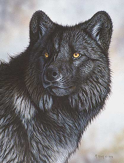 #70 ~ Fehr - Trigger Wolf Portrait
