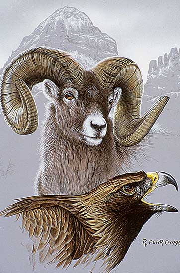#73 ~ Fehr - Still Wilderness Composite - Sheep and Hawk
