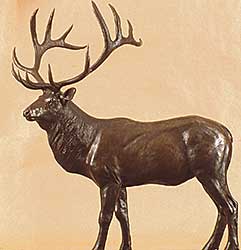 #66 ~ Fehr - Elk  #1/8