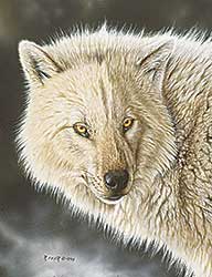 #69 ~ Fehr - Lady Wolf Portrait