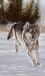 #71 ~ Fehr - Running Free Wolf