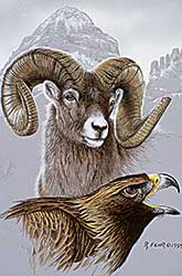 #73 ~ Fehr - Still Wilderness Composite - Sheep and Hawk