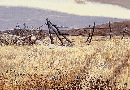 #447 ~ Jenkins - Untitled - Prairie Field
