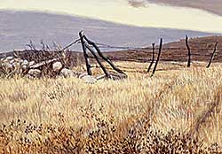 #447 ~ Jenkins - Untitled - Prairie Field