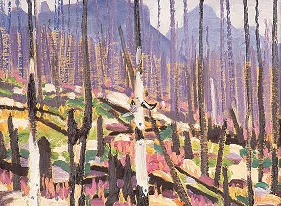 #115 ~ Kerr - Fireweed and Burnt Timber, Storm Mountain, No. 1