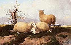 #312 ~ Verboeckhoven - Untitled - Three Sheep