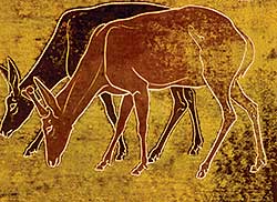 #483 ~ Kerr - Mule Deer