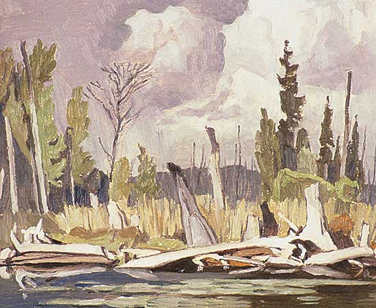 #29 ~ Casson - Swamps on Clarendon Lake