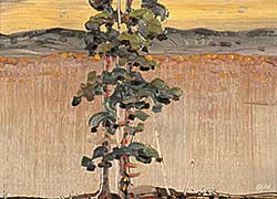#66 ~ Genn - Similkameen Pines