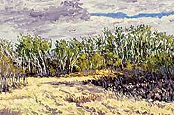 #109 ~ Kaufman - Untitled - Prairie Landscape