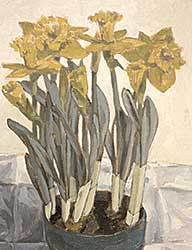#30 ~ Bobak - A Pot of Daffodils