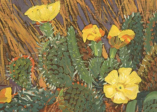 #68 ~ Kerr - Prickly Pear Cactus in Long Grass