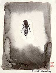#441 ~ Beam - Untitled - Bee