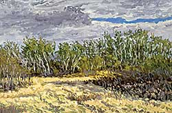 #499 ~ Kaufman - Untitled - Prairie Landscape