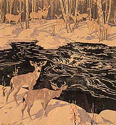 #413 ~ Barleigh - Deer, Kananaskis  #34/100