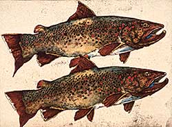 #440 ~ Cowin - Brown on Brown [Western Canada Trout Series]  #29/50