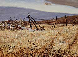 #488 ~ Jenkins - Untitled - Prairie Field