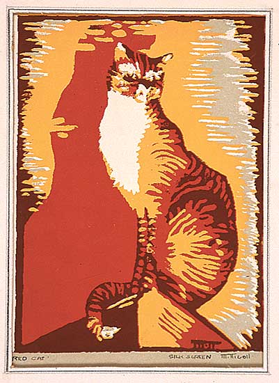 #523 ~ Nicoll - Red Cat
