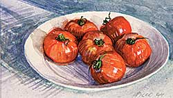 #534 ~ Picco - Tomatoes, 1995