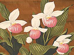 #23 ~ Casson - Untitled - Orchids