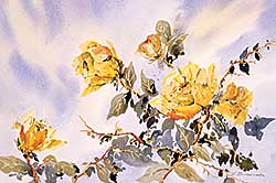 #472 ~ Brimacombe - Untitled - Yellow Tea Roses