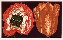 #635 ~ Nesbitt - Untitled - Poppy and Tulip [plate IV]  #III/XXV