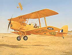 #26 ~ Drohan - De Havilland 'Tigermoth' [UK] South African Air Force, 1943