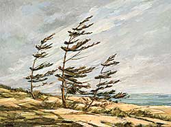 #28 ~ Durie - Untitled - Windy Pines