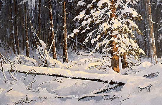 #151 ~ Wood - Winter Silence - Wells Gray Prov. Park
