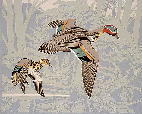 #235 ~ Casson - Untitled - Red Headed Ducks