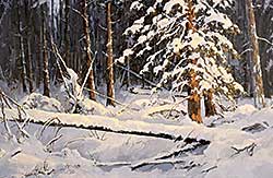 #151 ~ Wood - Winter Silence - Wells Gray Prov. Park
